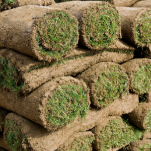 Scott’s Premium Turf - Image 3