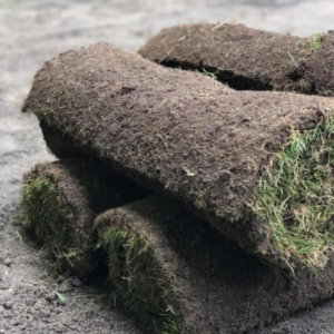 Scott’s Premium Turf