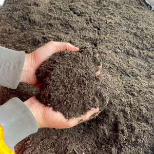 PAS 100 Compost - Image 2