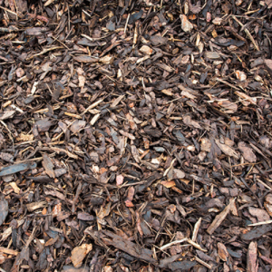 Decorative Bark