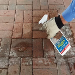 EVERBUILD SALT AWAY REMOVES SALT EFFLORESCENCE 1 L - Image 2