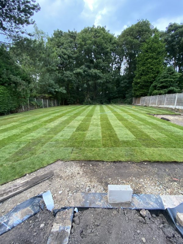 Scott’s Premium Turf - Image 8