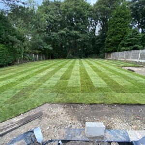 Scott’s Premium Turf - Image 8