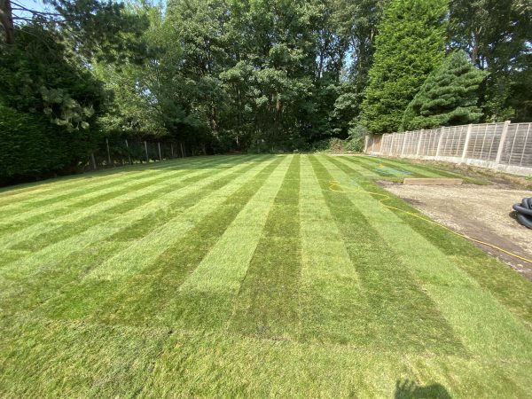 Scott’s Premium Turf - Image 7