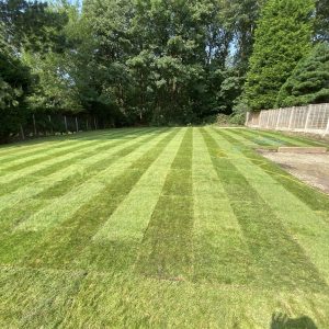 Scott’s Premium Turf - Image 7