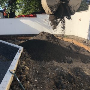 Black Gold Blend Bedding Soil - Image 2