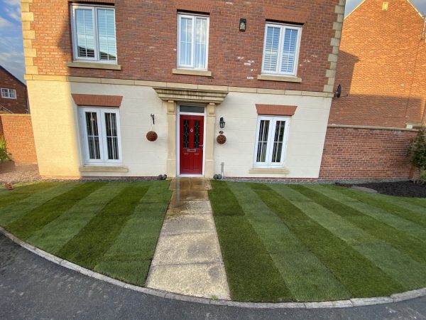 Scott’s Premium Turf - Image 5