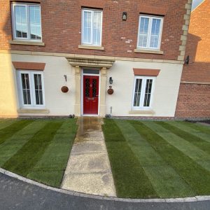 Scott’s Premium Turf - Image 5