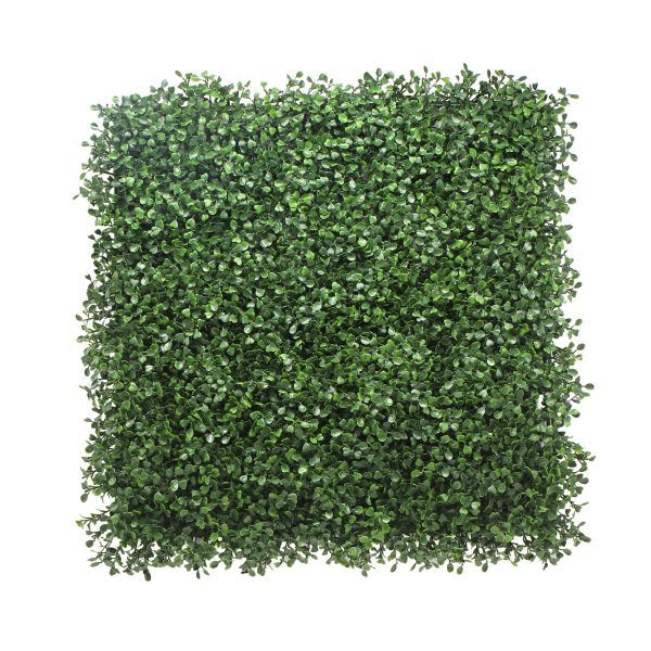 Boxwood Hedge Artificial Living Wall Panels 50x50cm