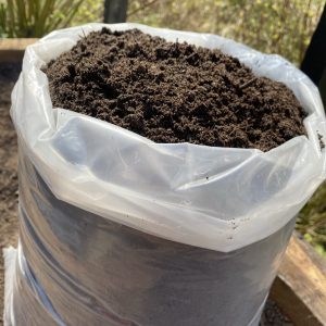 Black Gold Blend Bedding Soil - Image 3