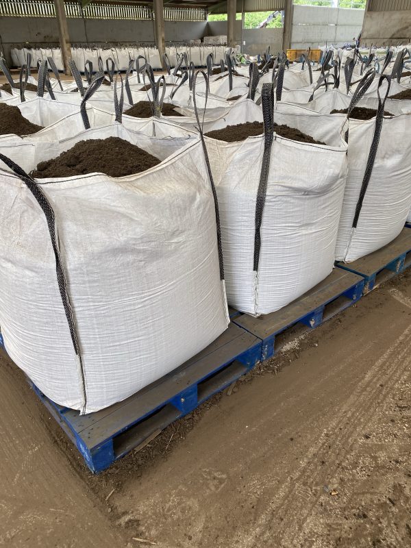 Black Gold Blend Bedding Soil - Image 4