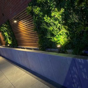 25X50 PSE Softwood timber battens individual - Image 6