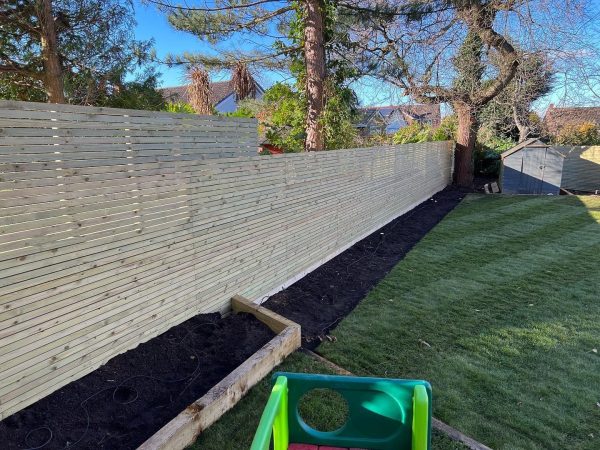 25X50 PSE Softwood timber battens individual - Image 9