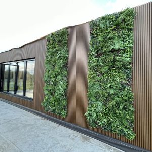 Red Cedar Square Slatted Wall Cladding - Image 4