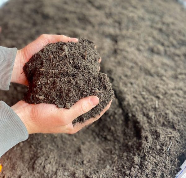 Black Gold Blend Bedding Soil - Image 6