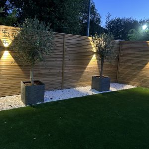 25X50 PSE Softwood timber battens individual